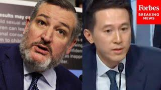 Ted Cruz Asks TikTok CEO Point Blank: 'What Happened In Tiananmen Square?' At Child Safety Hearing