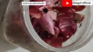 How to Make Organic fertilizer at home