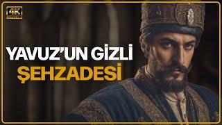 Yavuz Sultan Selim’in Herkesten Sakladığı Gizli Şehzadesi: Üveys Paşa #osmanlı #tarih #belgesel