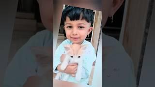 Tiny Hands and Tiny Paws|Baby Kitten playtime#kitten #cute #baby
