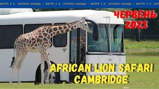 African Lion Safari. Cambridge. Ontario. Canada