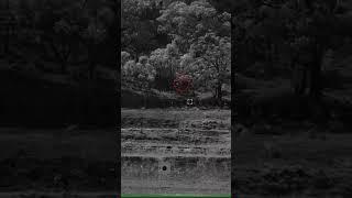 HikMicro Alpex 4K LRF - Full moon only test at 500 meters.