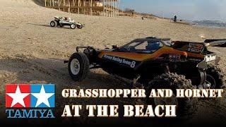 Tamiya grasshopper and hornet at the beach