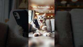 Munchie can’t stay away from the phone #catlover #cat #ai #story #cutecat