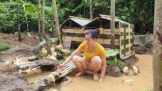 How To Build Bamboo House For Ducks 2021 | Lý Thị Ca - Ep.64
