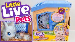 Little Live Pets Mama Surprise Bunny Unboxing - No Talking ASMR