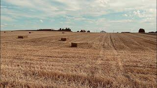 Sondeln auf Stoppeln