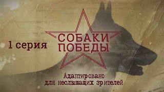 Видеоуроки "СОБАКИ ПОБЕДЫ" для глухих и слабослышащих детей и взрослых (РЖЯ, субтитры) | 1 серия