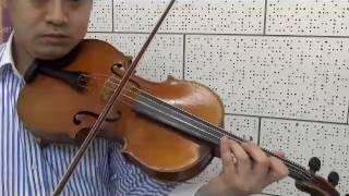 J.S.Bach  Cello Suite No.5 III Courante Played by Mike Chau