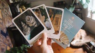 The Seashell Oracle // Feeling The Essence of the Sacred Waters // Walkthrough and Deck Pairings