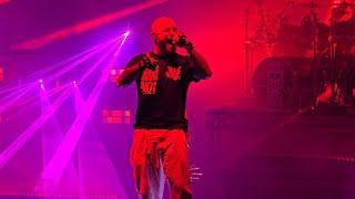 FFDP - The Beeding Live @ Shoreline 2024 - 4K