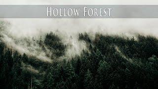 Vinyl Background Music #2 | Hollow Forest