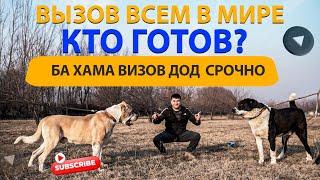 БА ХАМА ВИЗОВ КИ КАБУЛ МЕКНА МО ТАЕР  ВСЕМ МИРЕ ВЫЗОВ КТО ГОТОВ?