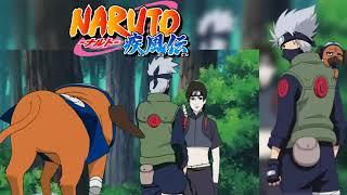 Pakkun se pone celoso de Sai y tiene miedo  a perder su Trabajo con Kakashi sub español HD