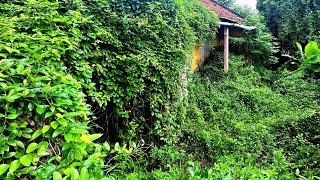 Inspire house cleanup transformation overgrown grass 100year-old horror abandoned horror  with vines