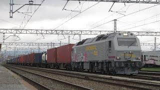 Trenes de todo tipo en... Miranda de Ebro. Renfe Mercancias, Talgo, Alvia, Continental Rail...