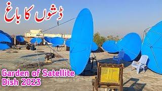 All dish info || The garden of Satellite dish