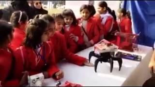 A passion for science at LSM 2017