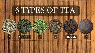 6 Types of Tea - Different Tea Types Explained