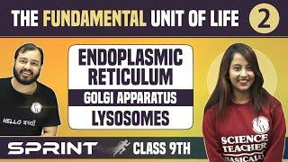 The Fundamental Unit of Life 02 | Endoplasmic Reticulum | Golgi Apparatus | Lysosomes | NCERT