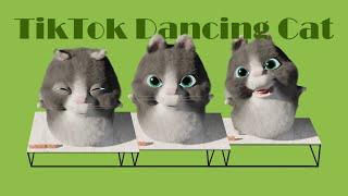 The Vicious Furry Beast 3  - TikTok Dancing Cat  | Pháo - 2 Phút Hơn (KAIZ Remix)