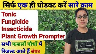 एक ही Organic product 4in1काम करे | Stabilized orthosilicic acid | Insecticide/plant growth primoter