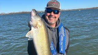 Windy Walleyes on the Detroit River (April 2024 two-man limit)