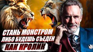 Как всегда добиваться своего? Почему безобидные люди никому не интересны? - Джордан Питерсон