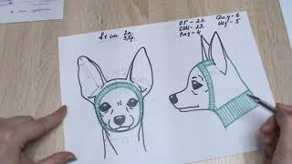 Шапочка для собачки "Волчок" часть 2 как сделать  расчет,  схема шапочки.