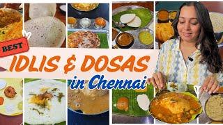 7 BEST Idlis & Dosas in Legendary Restaurants of CHENNAI  Chennai Food  *must haves*