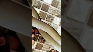 Beak Spider Tamiya Test