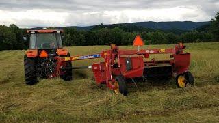 2022 is on track to be a record production year for hay.