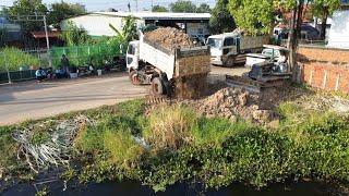 Delete Pond by skill old dozer MITSUBSHI Push soil in the water with 5T Dump truck Transport soil