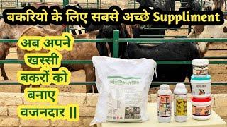 अब अपने खस्सी बकरों को बनाए बजनदार | बकरियों के लिए सबसे अच्छे Suppliment | #goatfarming #animal