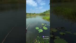 Кому захотелось на речку?)#fishing #ловим #fish