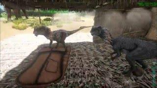 The Three Dilos Ark Survival Evolved Dilophosaurus Taming Mazion Server S2#2 Video Game Play