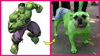 Superheroes as Animals  Real Life