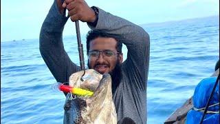 Huge Monster Grouper caught on trolling from jaigad  boat fishing #groupers #fishingtechniques