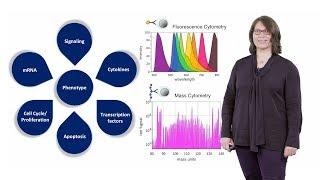 Mass Cytometry Introduction - Susanne Heck (NIHR BRC)