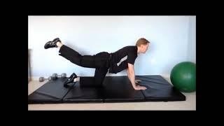 Low Back & Core Strength Exercises: Dr. Rob Murray Newmarket Chiropractor Chiropractic