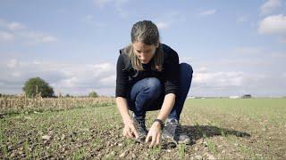 Wir leben Getreide Feld-Reporter | SO | Monika Ganal: Herbstbehandlungen im Getreide