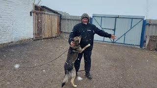 Она вернулась. Просили показать.
