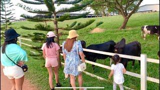 Farm Fresh UPM - Experience The Farm Life - Day Tour