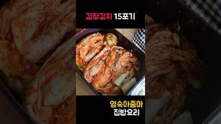 4인가족 소량 김장김치 15포기 담그는 꿀팁 #레시피 #쇼츠 #김치만들기