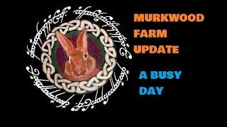 MURKWOOD FARM: UPDATE A BUSY DAY