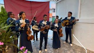 Express de los Azahares - Mariachi Real del Valle