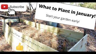 What to plant is January and February! Hollow Acres Homestead