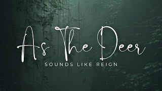 As The Deer | Sounds Like Reign (lyric and scenery)