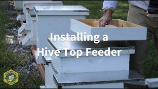 Installing a Hive Top Feeder - Brushy Mountain Bee Farm