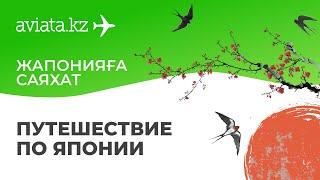 Самостоятельное путешествие по Японии: Токио, Хаконе, Фудзи и Киото